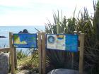 thumbs/NZ_Riki_1107.jpg