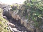 thumbs/NZ_Riki_1109.jpg