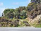 thumbs/NZ_Riki_1121.jpg