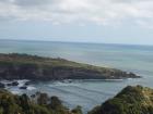 thumbs/NZ_Riki_1123.jpg