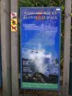 thumbs/NZ_Riki_1126.jpg