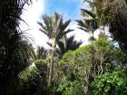 thumbs/NZ_Riki_1127.jpg