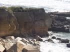 thumbs/NZ_Riki_1128.jpg