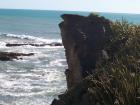 thumbs/NZ_Riki_1130.jpg