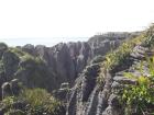 thumbs/NZ_Riki_1131.jpg