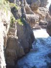 thumbs/NZ_Riki_1134.jpg