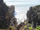 thumbs/NZ_Riki_1138.jpg