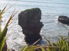thumbs/NZ_Riki_1139.jpg