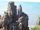 thumbs/NZ_Riki_1140.jpg