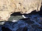 thumbs/NZ_Riki_1141.jpg