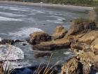 thumbs/NZ_Riki_1143.jpg