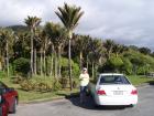 thumbs/NZ_Riki_1145.jpg