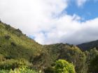 thumbs/NZ_Riki_1147.jpg