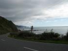 thumbs/NZ_Riki_1148.jpg