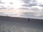 thumbs/NZ_Riki_1151.jpg