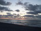 thumbs/NZ_Riki_1153.jpg