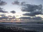 thumbs/NZ_Riki_1154.jpg