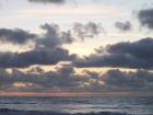 thumbs/NZ_Riki_1155.jpg
