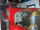 thumbs/NZ_Riki_1190.jpg