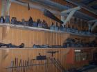thumbs/NZ_Riki_1194.jpg