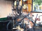 thumbs/NZ_Riki_1205.jpg