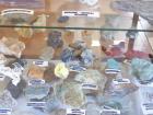 thumbs/NZ_Riki_1212.jpg