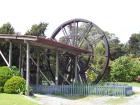 thumbs/NZ_Riki_1219.jpg
