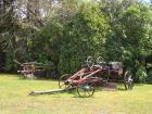 thumbs/NZ_Riki_1220.jpg
