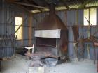 thumbs/NZ_Riki_1222.jpg