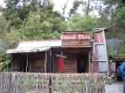 thumbs/NZ_Riki_1230.jpg
