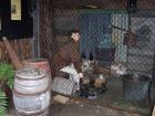 thumbs/NZ_Riki_1234.jpg