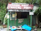 thumbs/NZ_Riki_1235.jpg