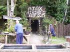 thumbs/NZ_Riki_1236.jpg