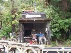 thumbs/NZ_Riki_1237.jpg