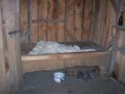 thumbs/NZ_Riki_1242.jpg