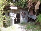 thumbs/NZ_Riki_1243.jpg