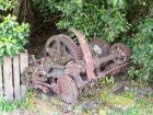 thumbs/NZ_Riki_1250.jpg