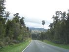 thumbs/NZ_Riki_1265.jpg
