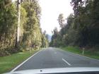 thumbs/NZ_Riki_1267.jpg