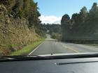thumbs/NZ_Riki_1268.jpg