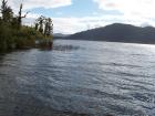 thumbs/NZ_Riki_1271.jpg