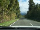 thumbs/NZ_Riki_1273.jpg