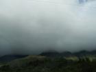 thumbs/NZ_Riki_1275.jpg