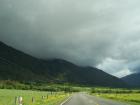 thumbs/NZ_Riki_1278.jpg
