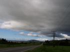 thumbs/NZ_Riki_1279.jpg