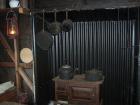 thumbs/NZ_Riki_1284.jpg