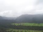 thumbs/NZ_Riki_1288.jpg