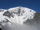 thumbs/NZ_Riki_1300.jpg