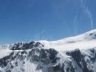 thumbs/NZ_Riki_1314.jpg