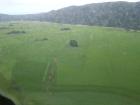 thumbs/NZ_Riki_1326.jpg